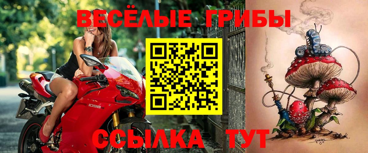 Псилоцибиновые грибы Magic Shrooms  Вход с VPN  Тула  Галлюциногенные грибы GOLDEN TEACHER 