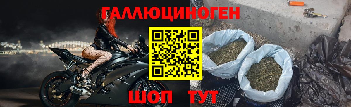 Галлюциногенные грибы ЛСД Тула